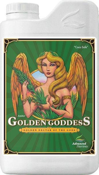 Golden Goddess (1L)