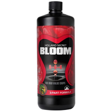 Bloom 0-6-4
