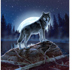 Mystic Wolf Queen Sized Blanket