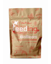BioBloom (4-9-9)