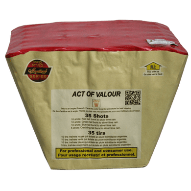 Act of Valour