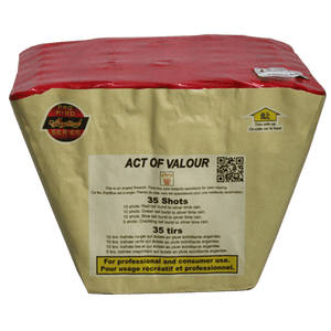 Act of Valour