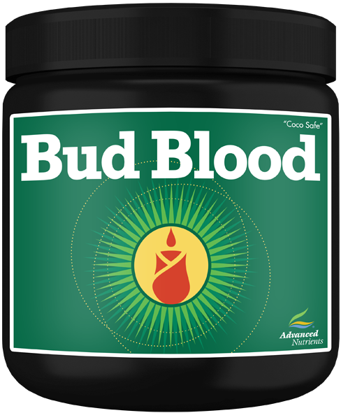 Bud Blood Powder (40g)