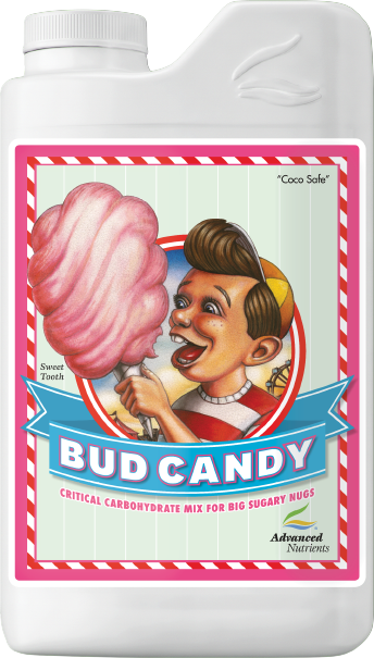 Bud Candy (4L)