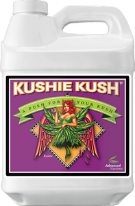 Kushie Kush (1L)