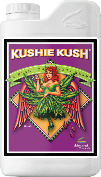 Kushie Kush (1L)