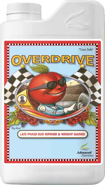 Overdrive-Late Flowering Phase (4L)