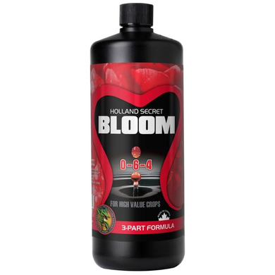 Bloom 0-6-4