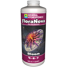 FloraNova Bloom