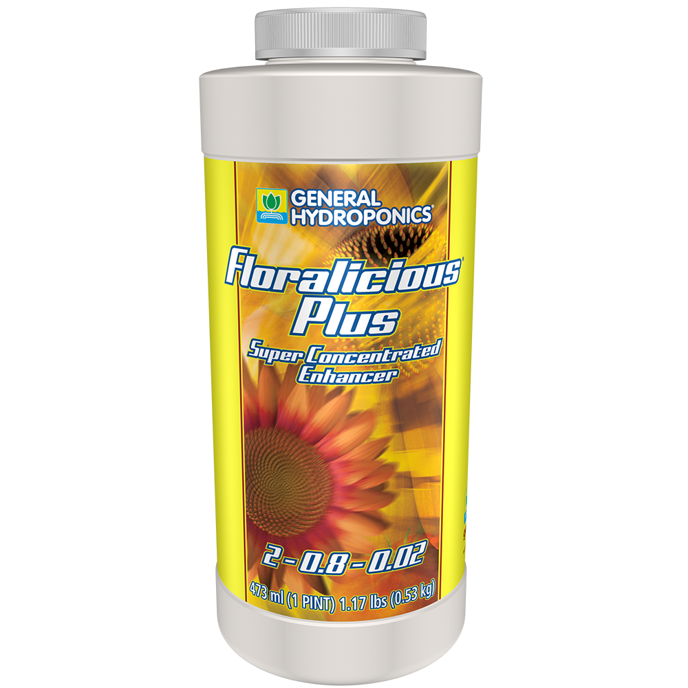 Floralicious Plus