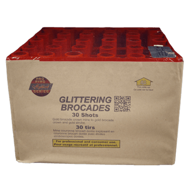Glittering Brocades
