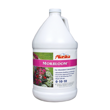 Alaska MorBloom