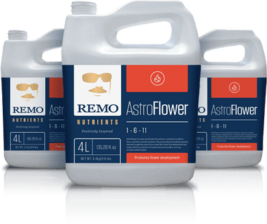 Remo's Astro Flower