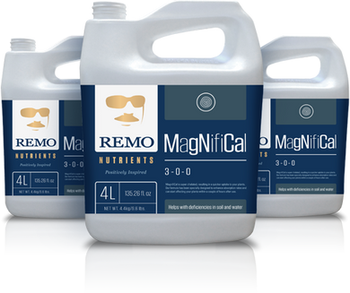 Remo's MagNifiCal