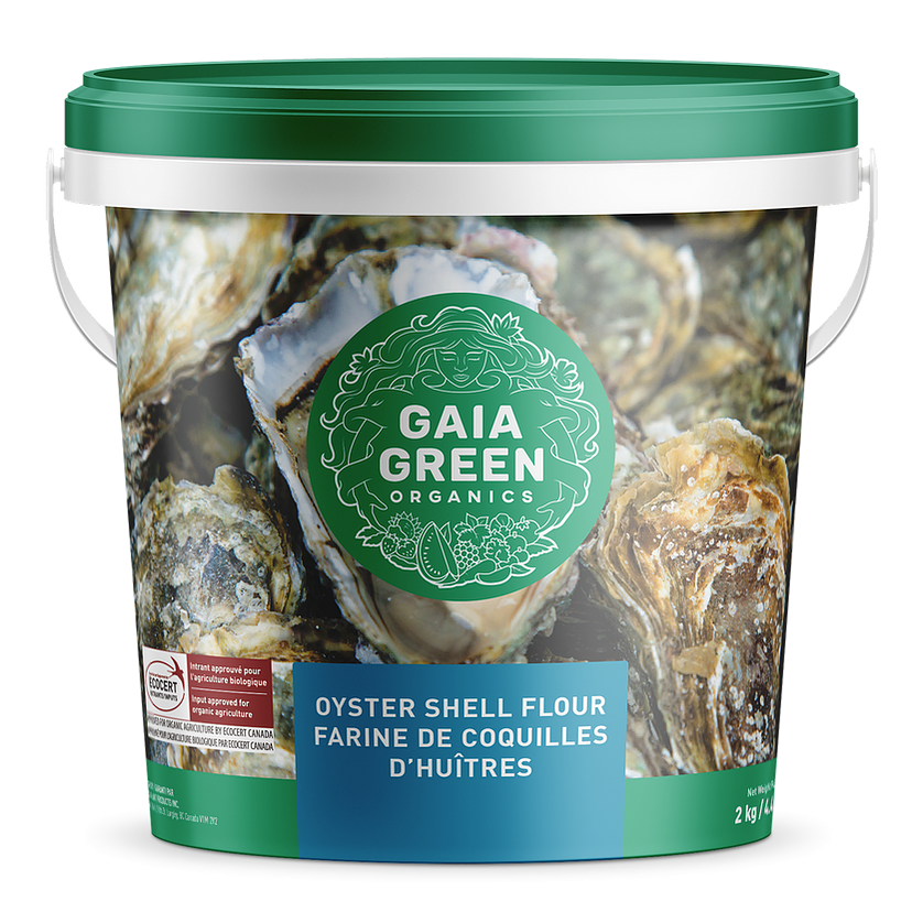 Gaia Green Oyster Shell Flour