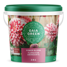 Gaia Green Power Bloom 2-8-4