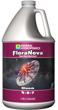 FloraNova Bloom