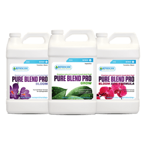 Pure Blend Pro