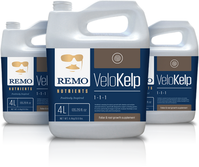 Remo's VeloKelp