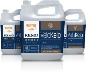 Remo's VeloKelp